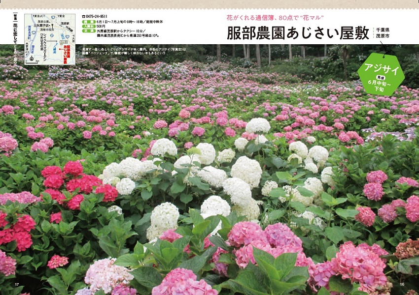 特集1