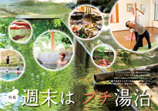 PWp10-11