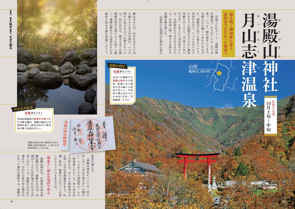 ワンダーフォーゲル　山と渓谷社　11冊(バラ売りもok)