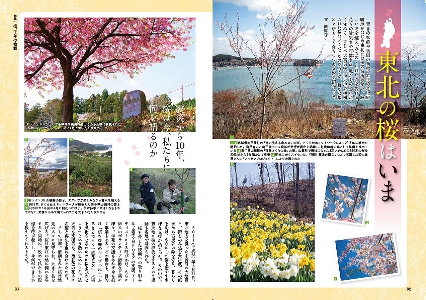 特集2