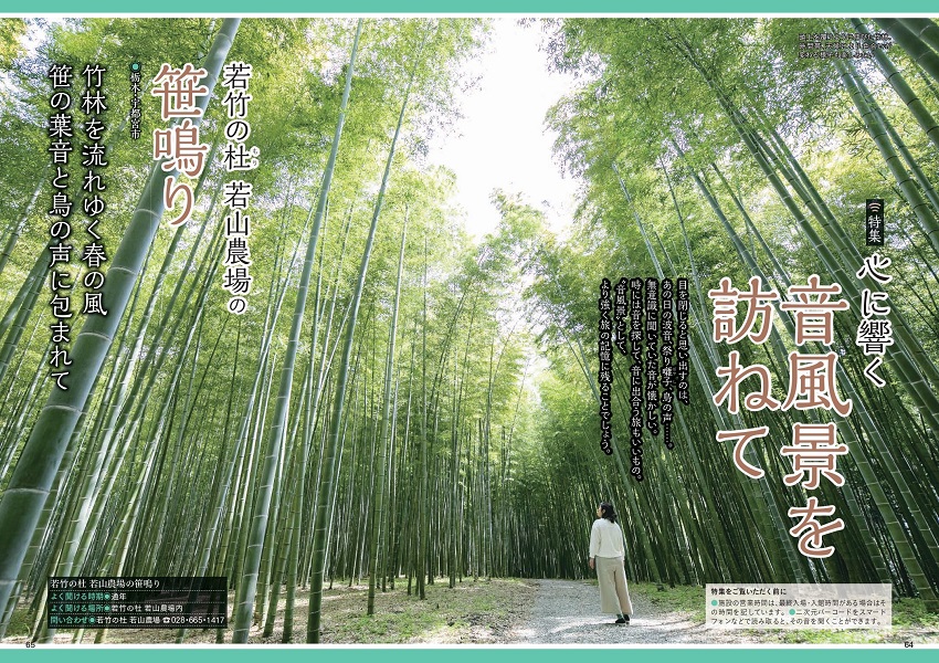 特集2