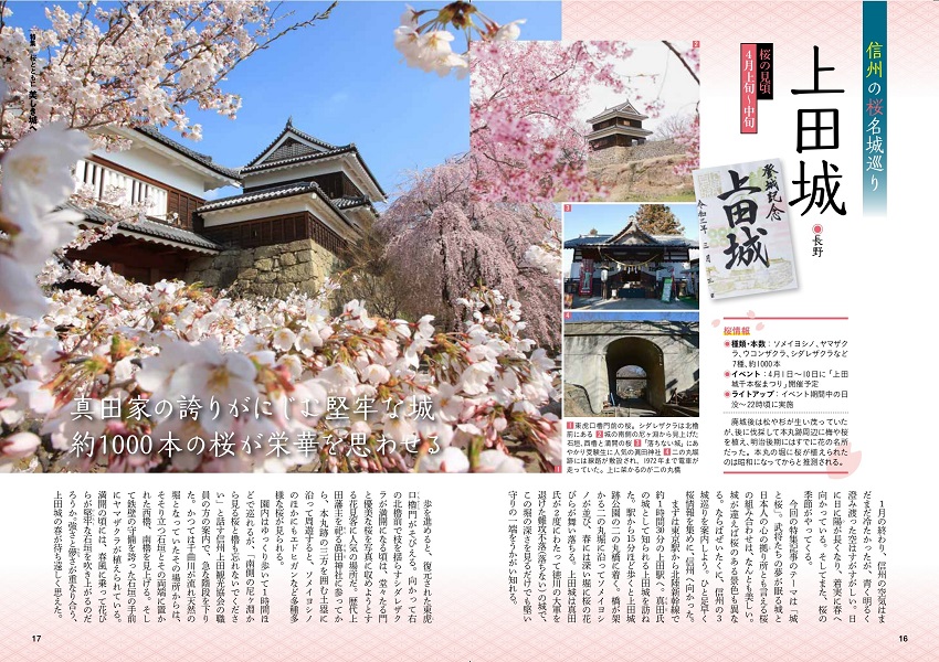 特集1