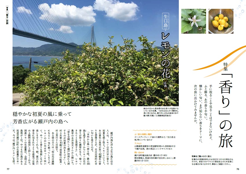 特集2