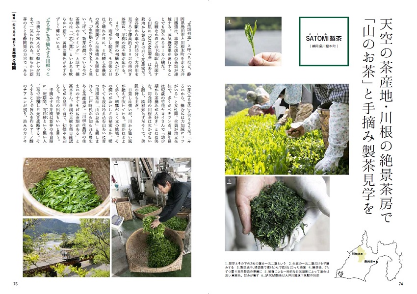 特集2