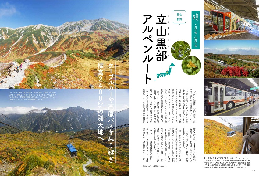 特集