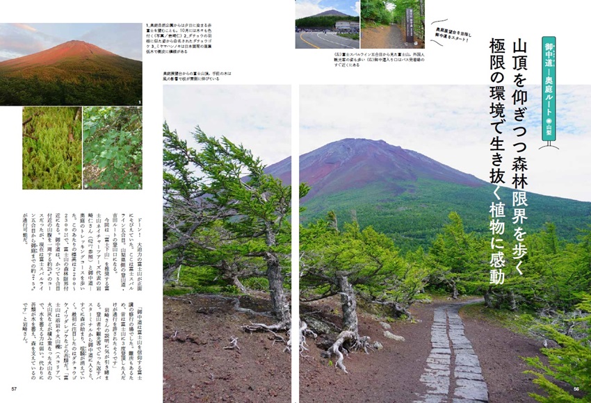 特集2