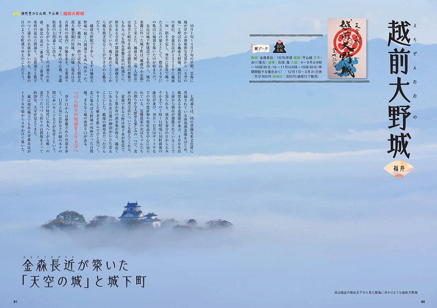 個性豊かな山城、平山城
